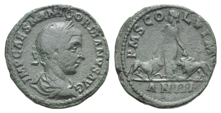 gordian bull lion Roma 9.30.2012.jpg