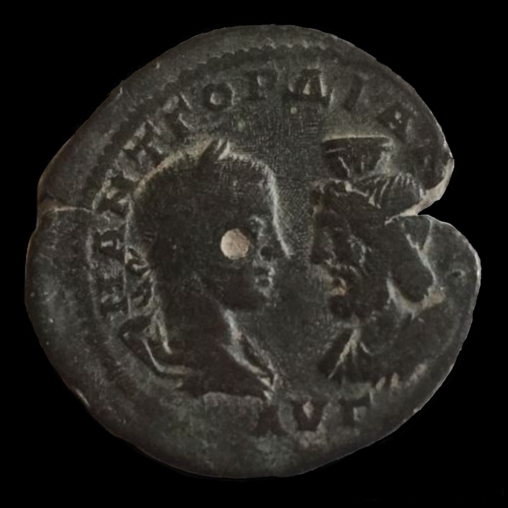 Gordian III 20160001 obv.jpg