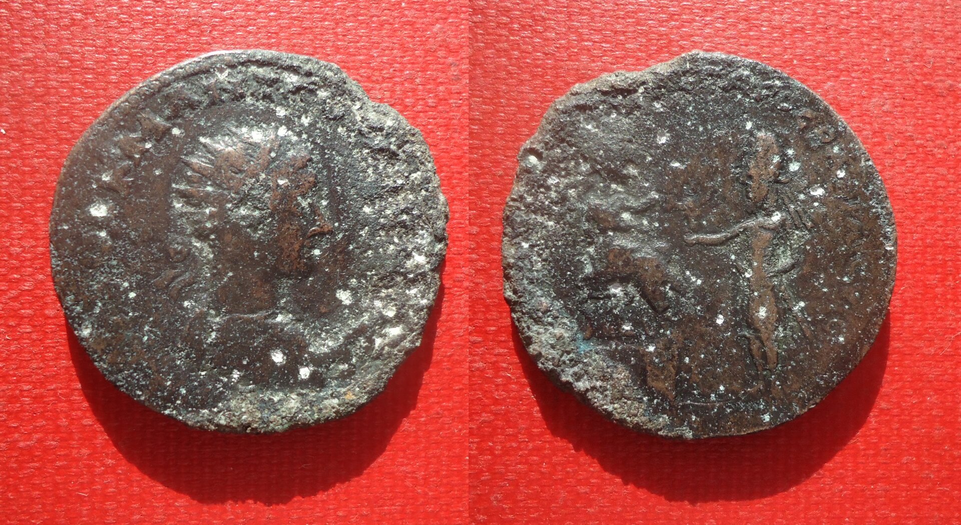 Gordian III Abgar X - Edessa AE lot Jan 2020 (0).jpg