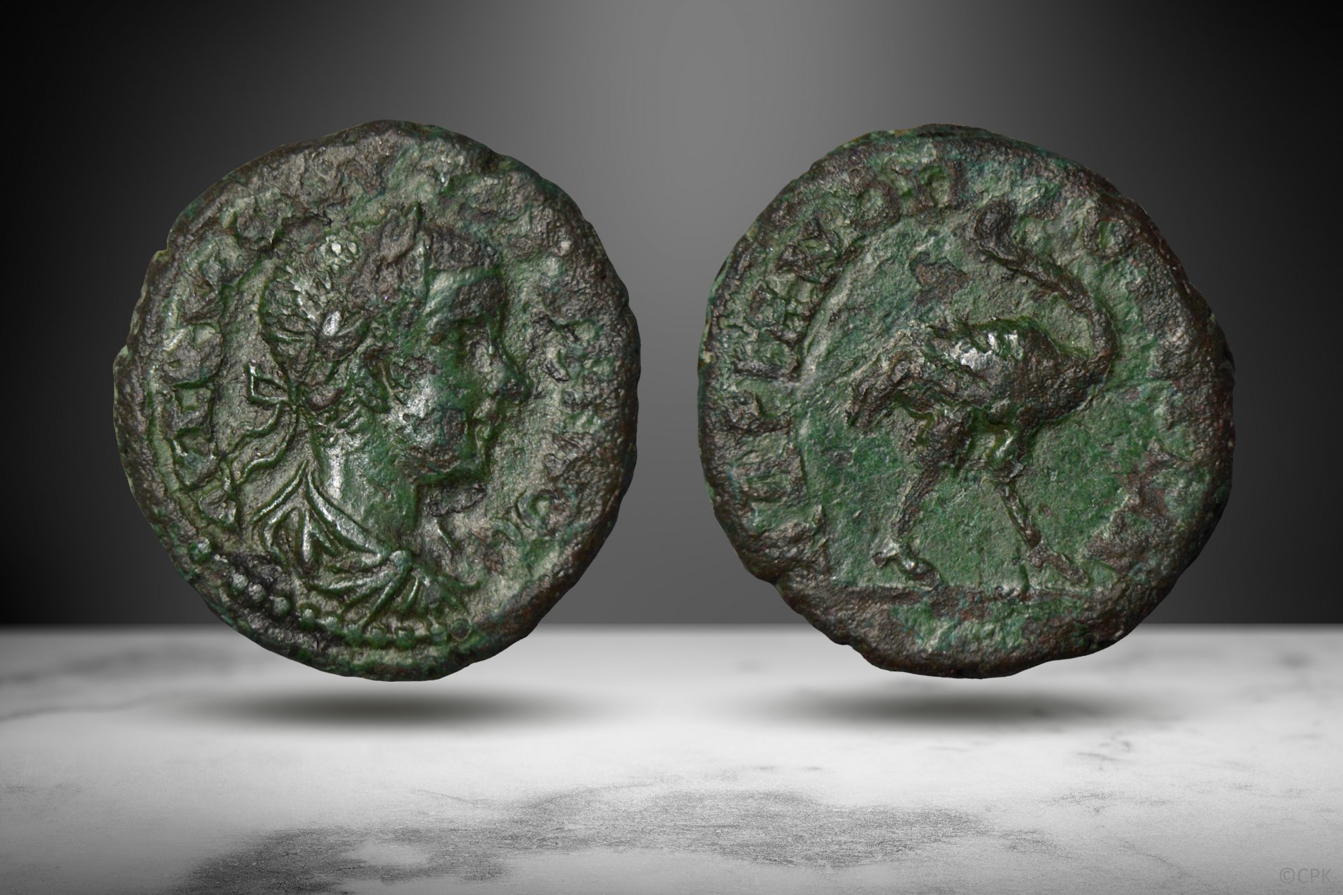 Gordian III AE Ostrich.jpg