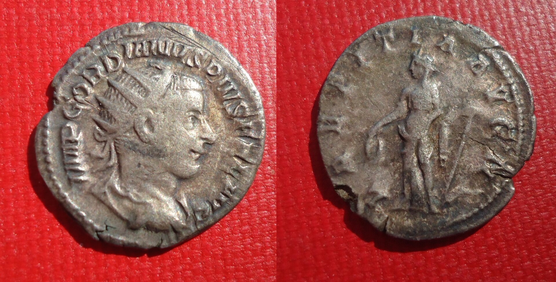 Gordian III - Ant Laetitia Sep 2018 (01).JPG