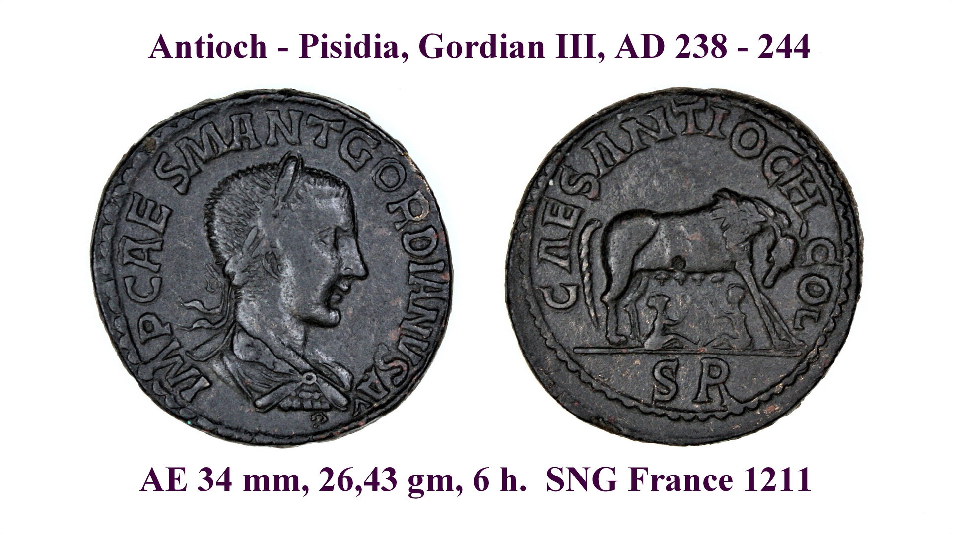 Gordian III, CAES ANTIOCH COL.jpg