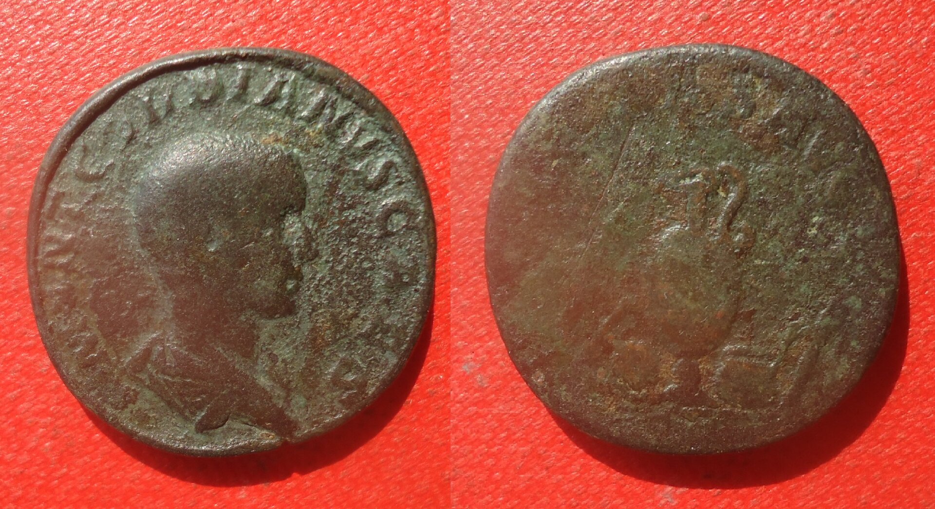 Gordian III - Sest. as Caesar Jug Lituus Jun 2021 (0aa).jpg