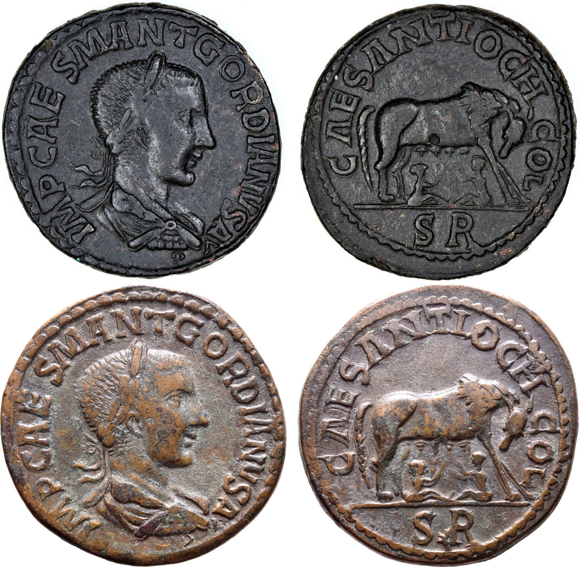 Gordian III, SNG France 1211 comparisons.jpg