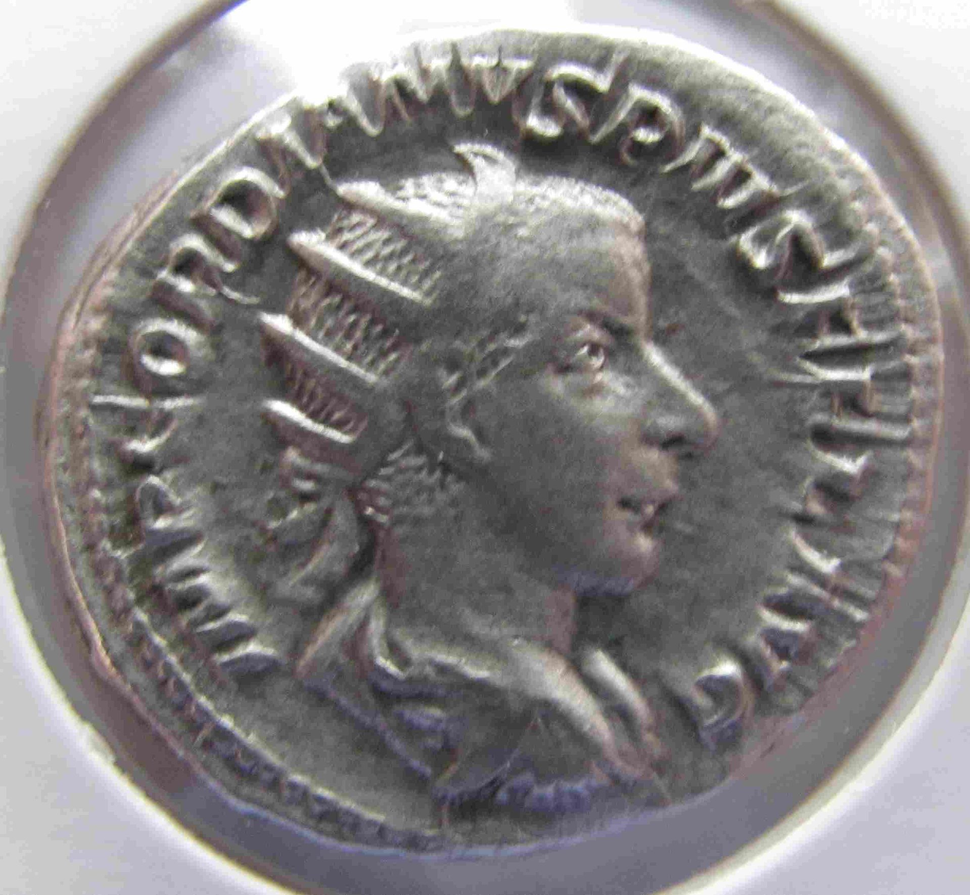 Gordian O.jpg