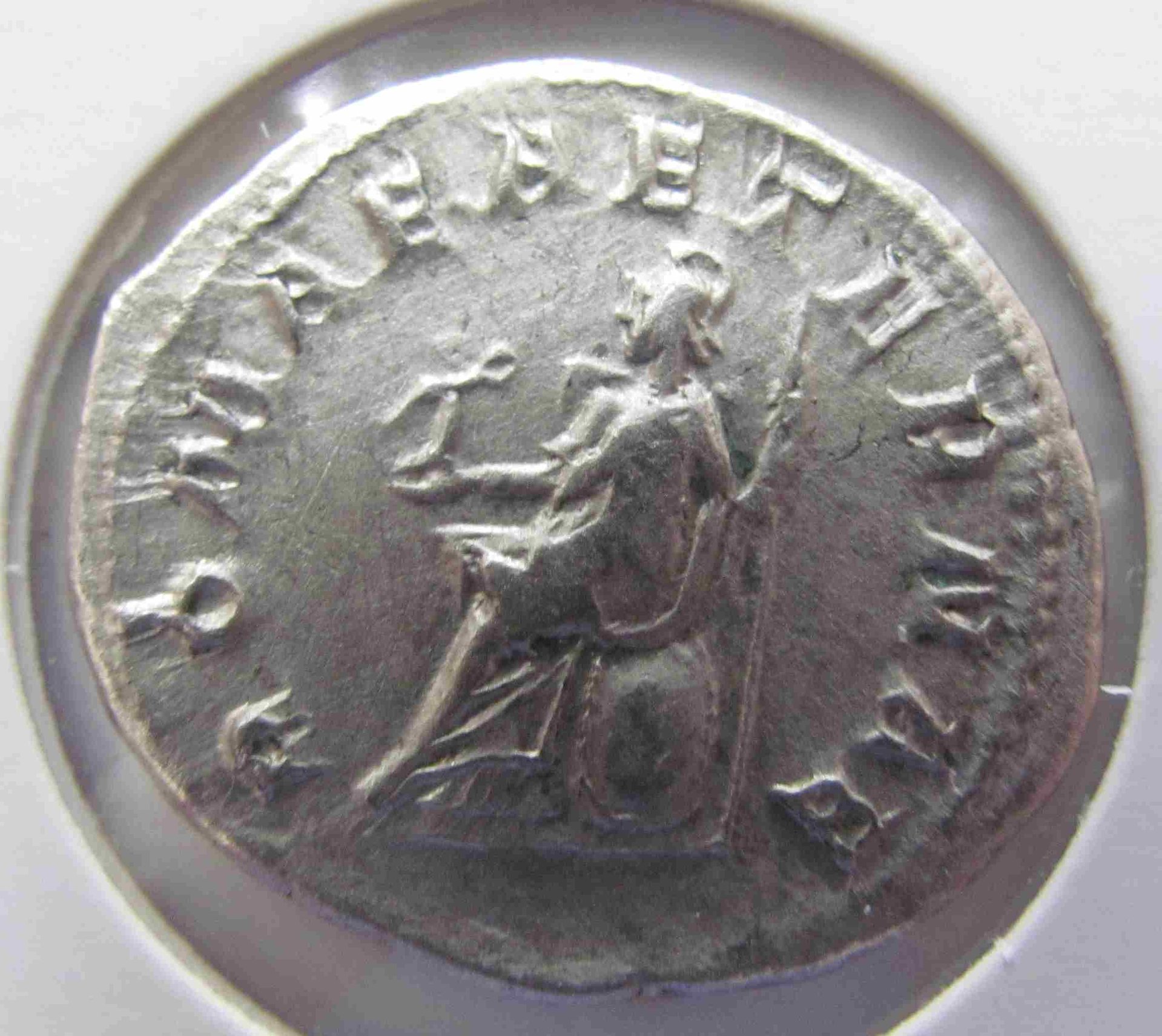 Gordian R.jpg