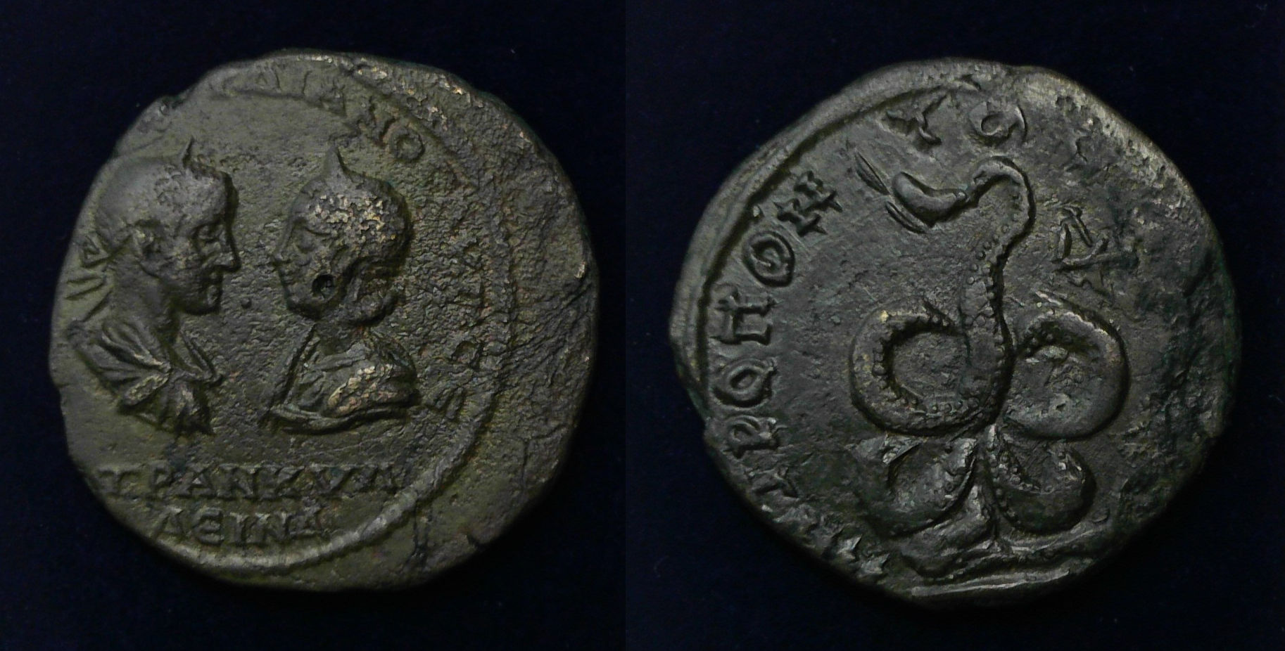 Gordian Tomis Glykon.jpg