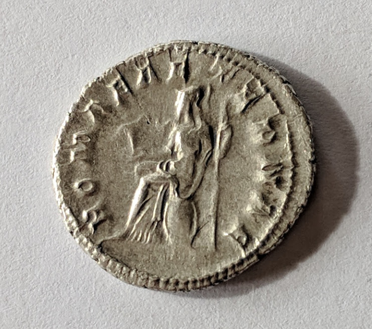 gordian7.jpg