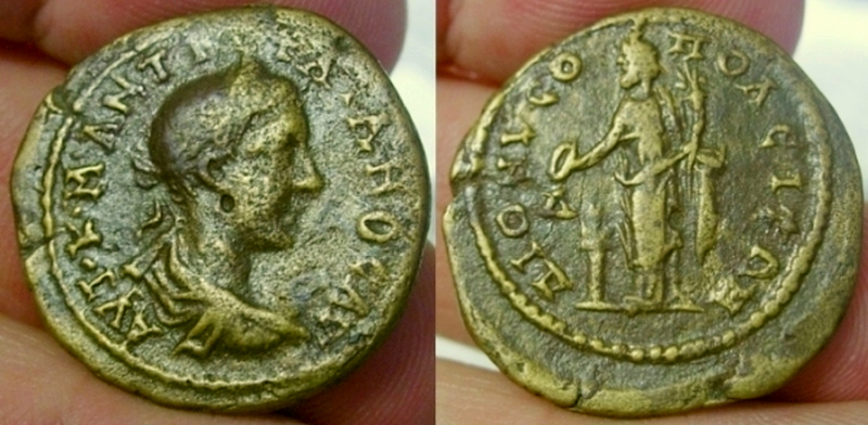 gordiandion3.jpg