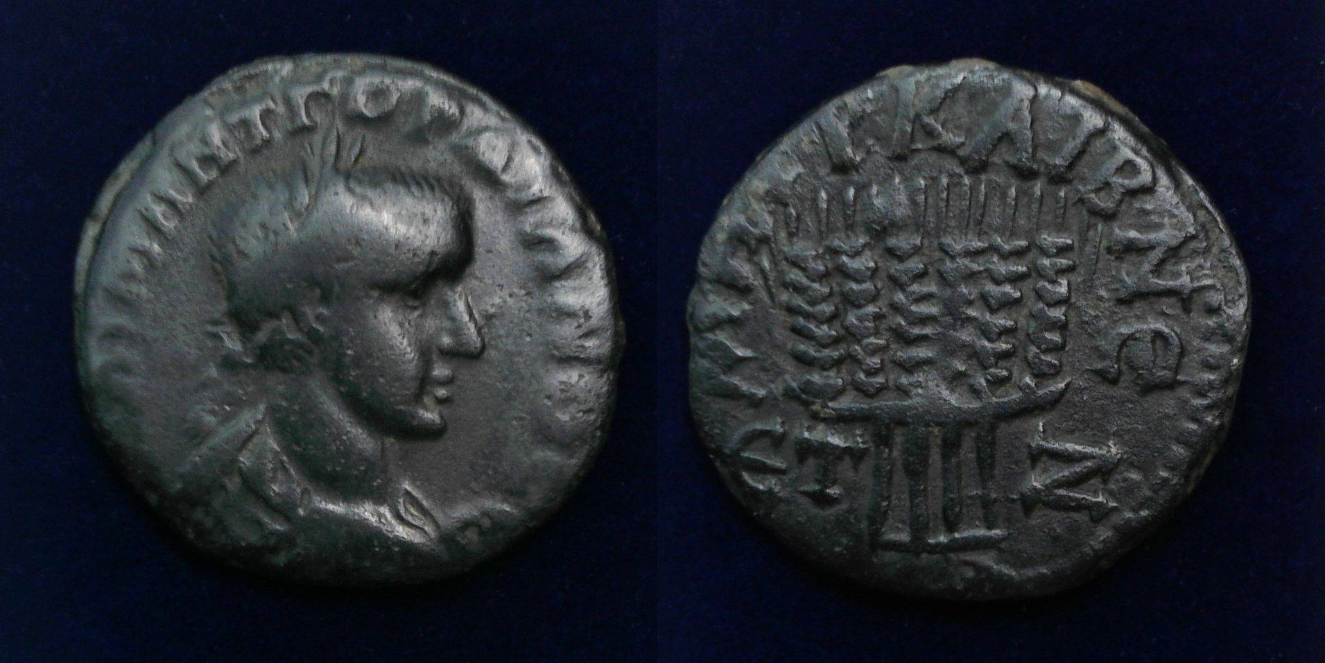 Gordianus III Grain.jpg