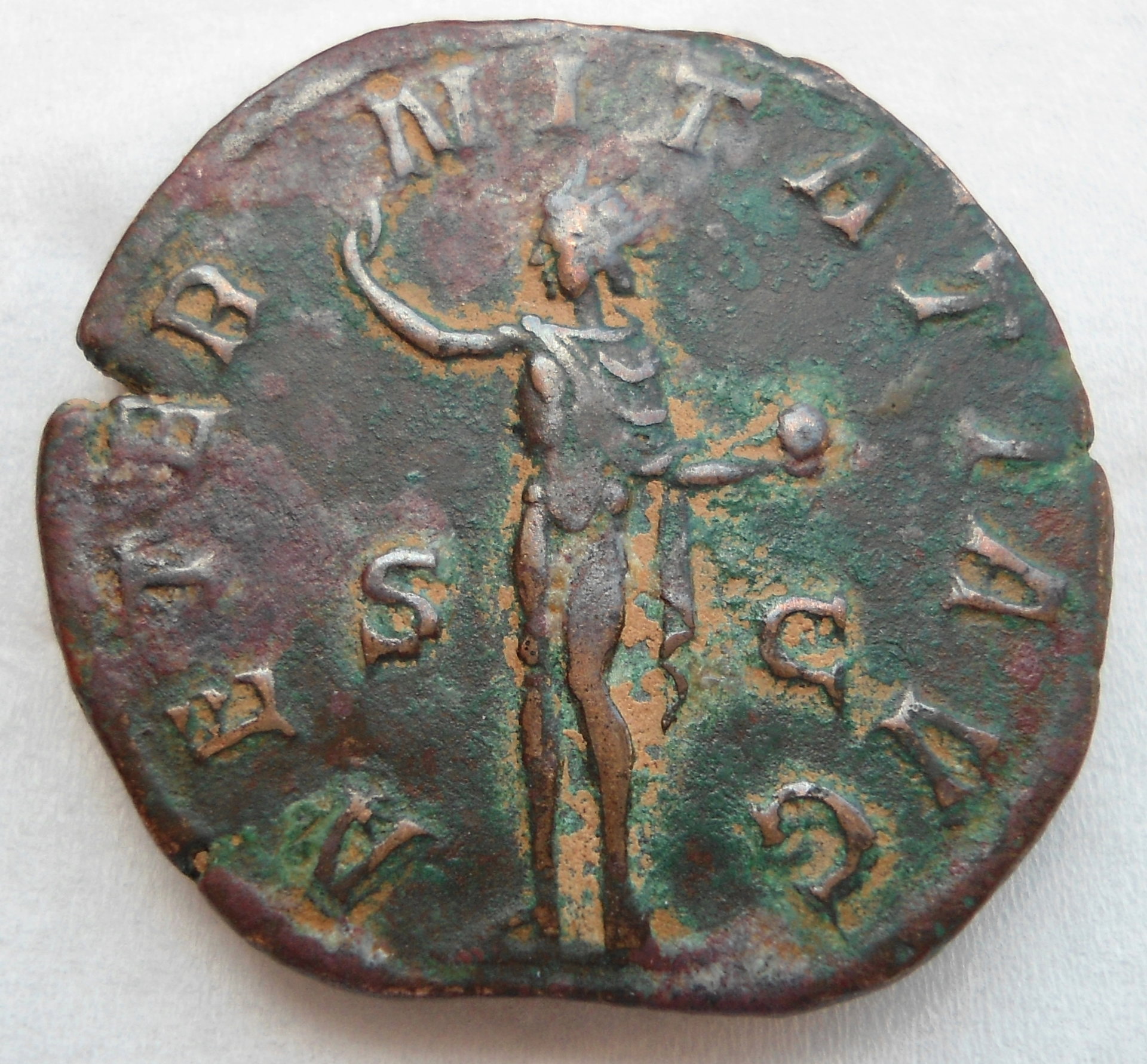 GordSolsun R  S 8702.JPG