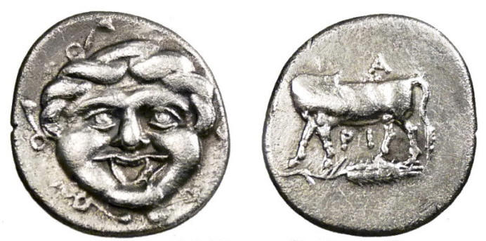 gorgon snake bull bx.jpg
