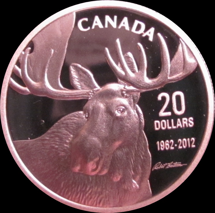 Got Moose 001a.JPG