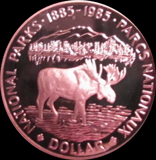 Got Moose 004a.JPG
