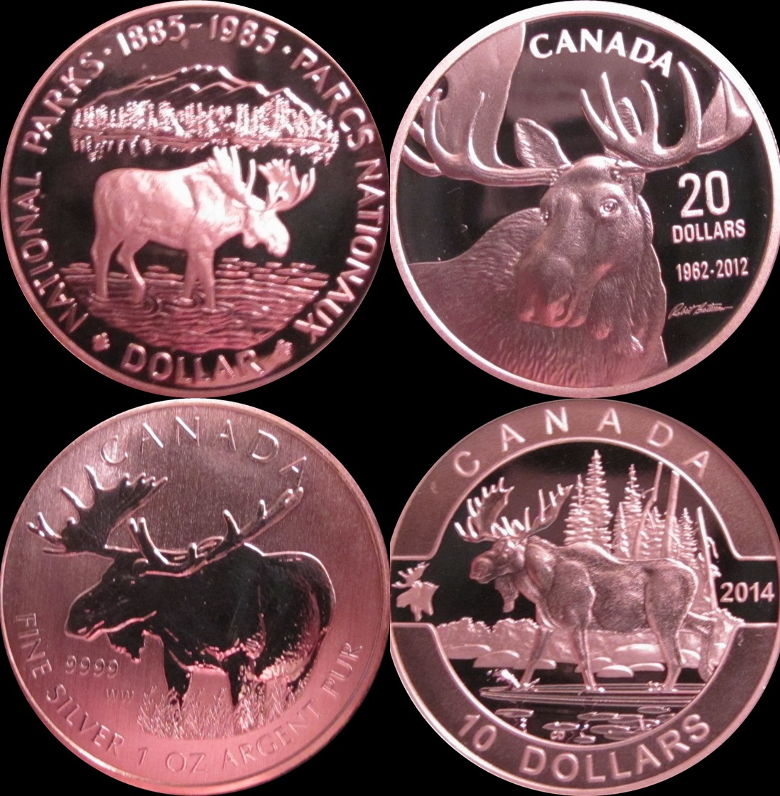 Got Moose 004a-tile.jpg