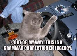 grammar cat.jpg