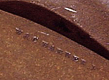 Grant Signature.jpg