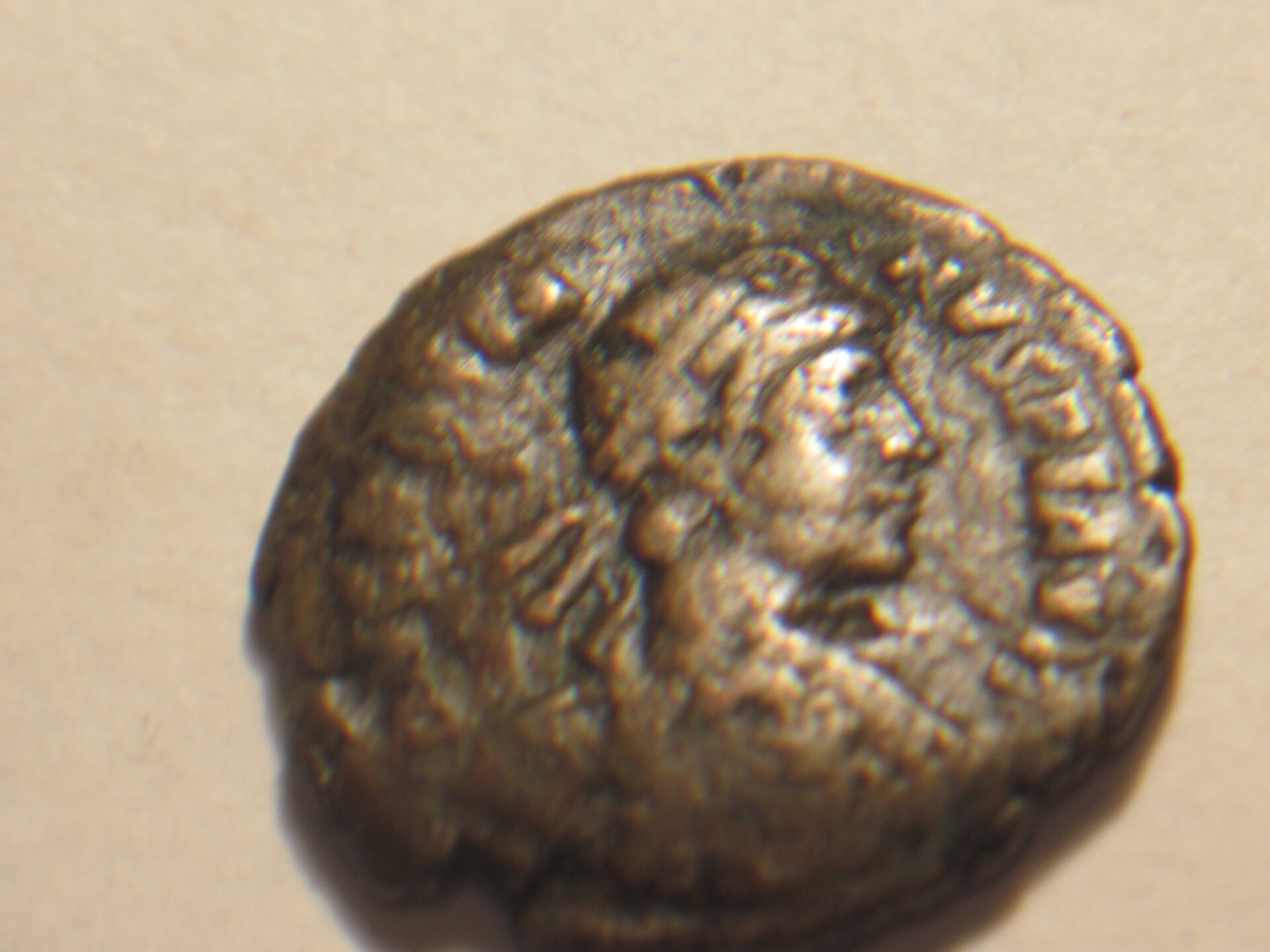 Gratian           manfaced bull coin 002.JPG