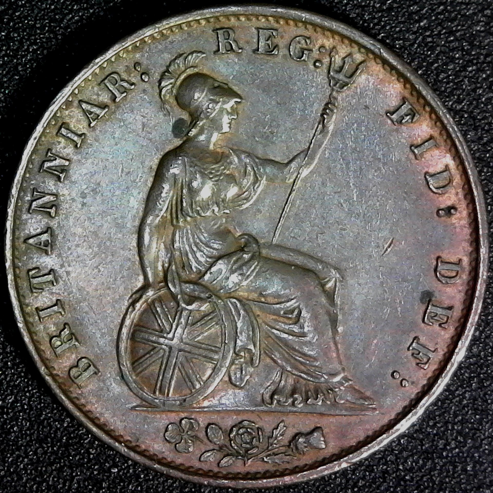 Great Britain Half Penny 1854 rev B.jpg
