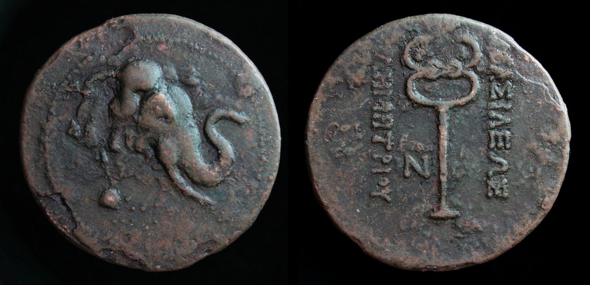 Greco Baktrian Demetrios Elephant.jpg