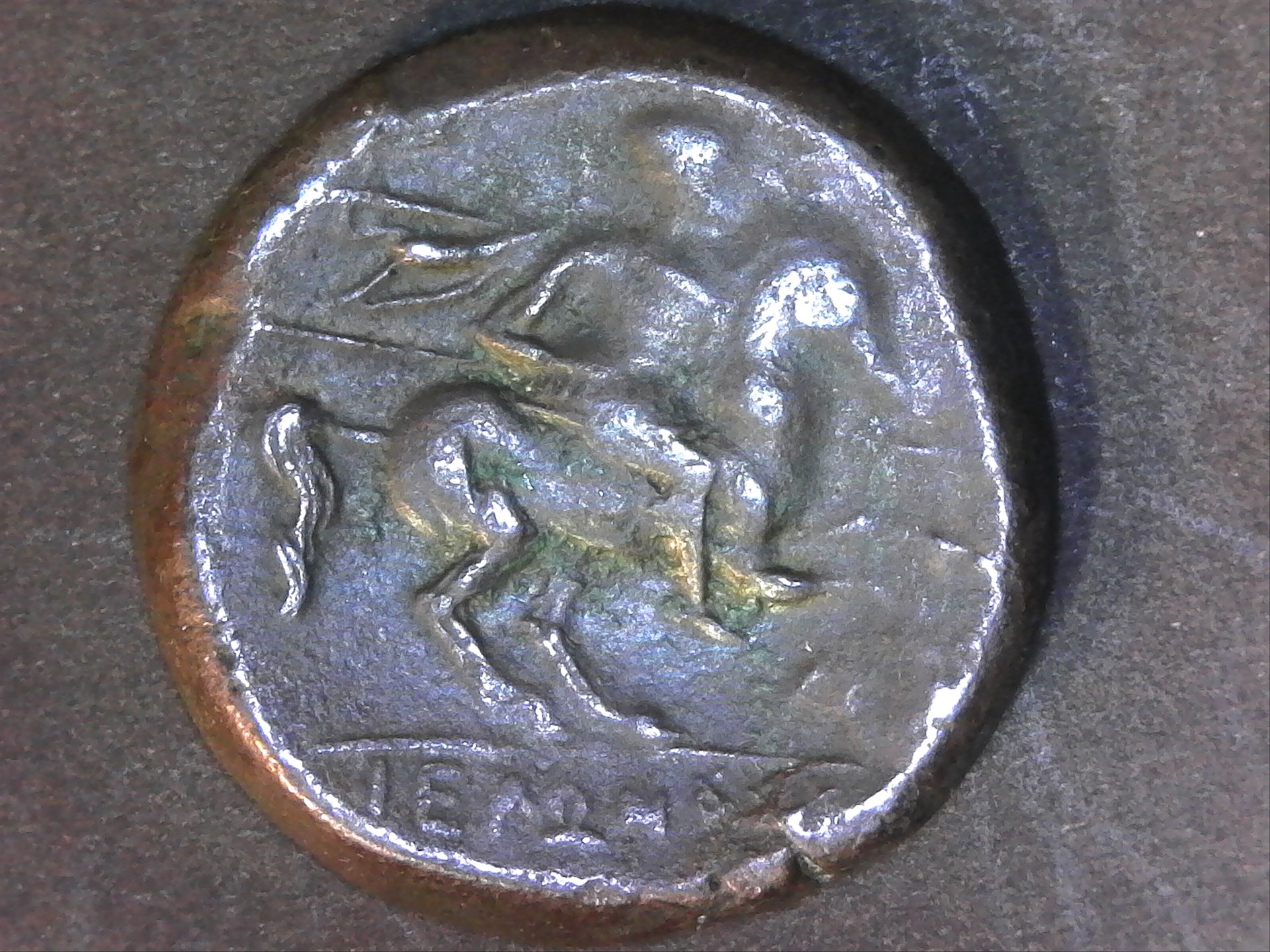 Greece SICILY Syracuse 275-215 BC Hieron rev.jpg