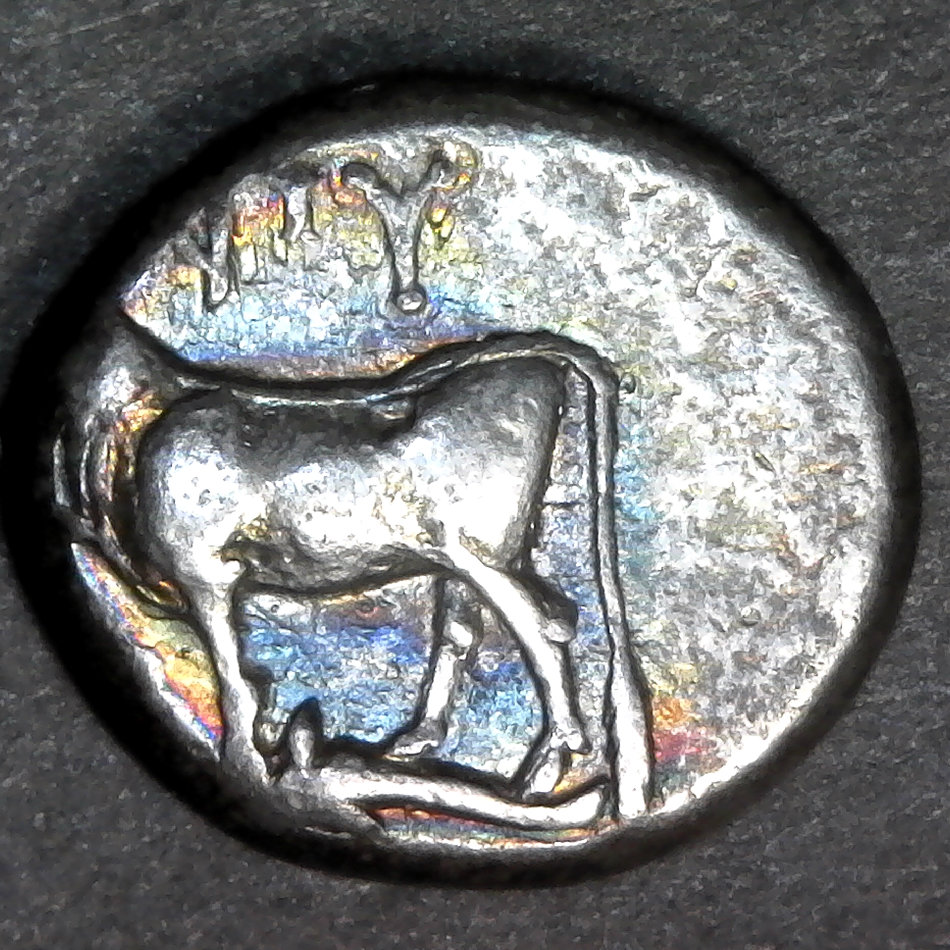 Greece -sigloi of Byzantion in Thrace, City of Byzantion, circa 340-320BC obv.jpg