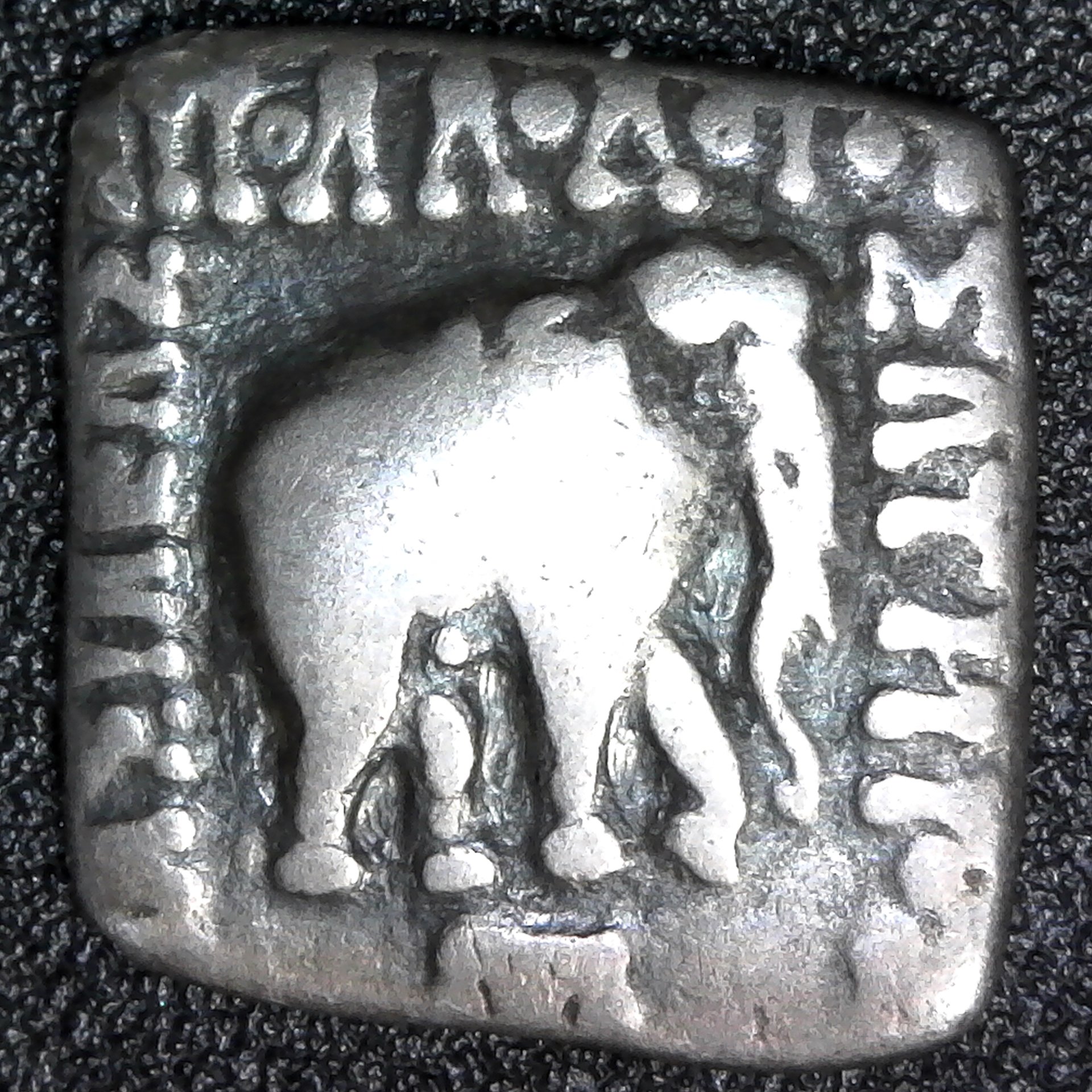 Greek Bactria Apolodoto I, 185-162 BC Silver Drachm Elephant & Cebu S-7591 obv A.jpg