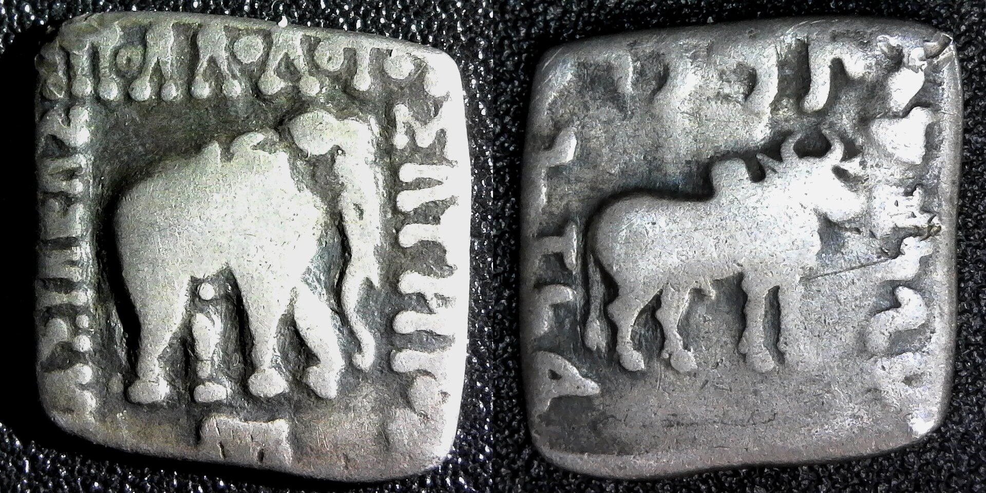 Greek Bactria Apolodoto I, 185-162 BC Silver Drachm Elephant & Cebu S-7591 obv B-side.jpg