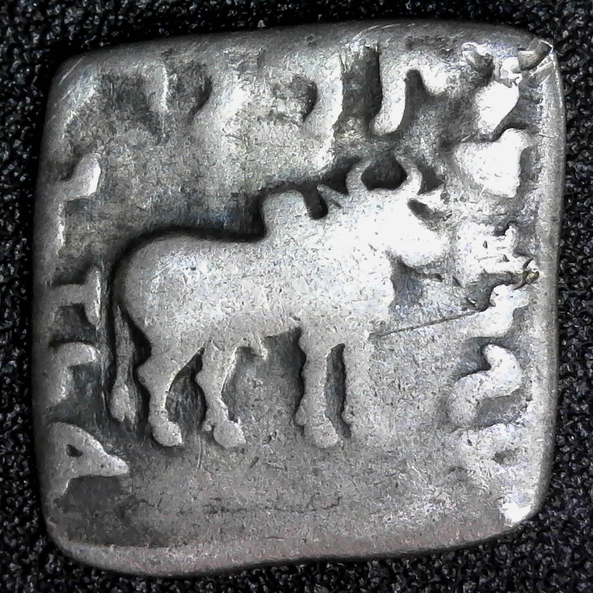Greek Bactria Apolodoto I, 185-162 BC Silver Drachm Elephant & Cebu S-7591 rev A.jpg