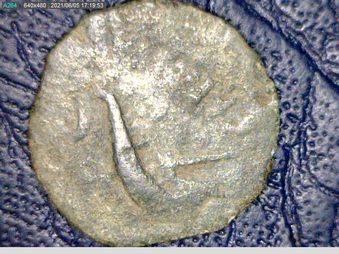 Greek - Carteia 2.jpg