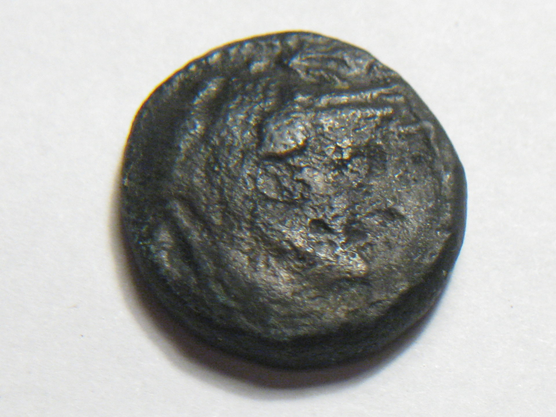 greek coins birds ptolemy, peresus 001.JPG