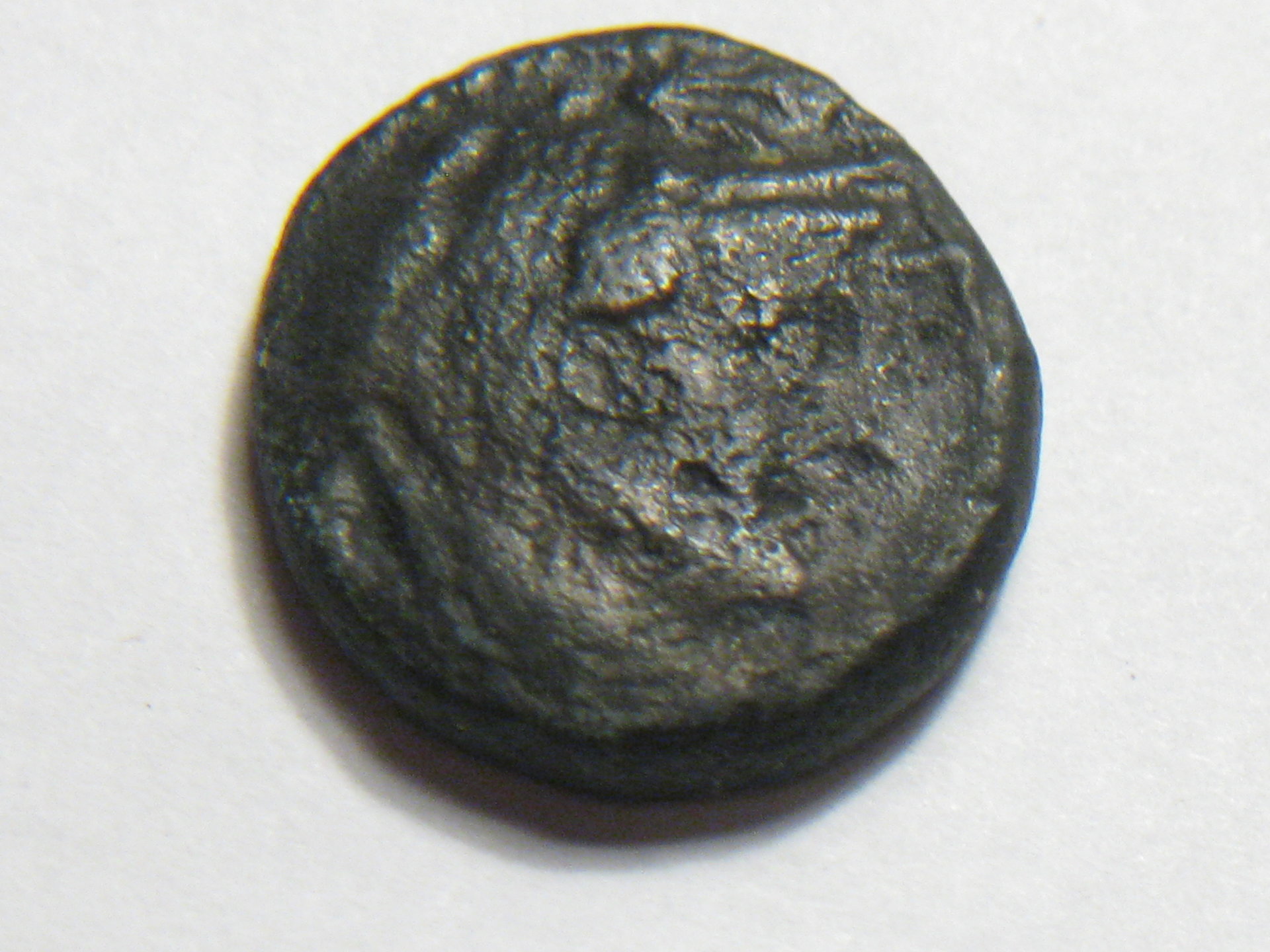 greek coins birds ptolemy, peresus 002.JPG
