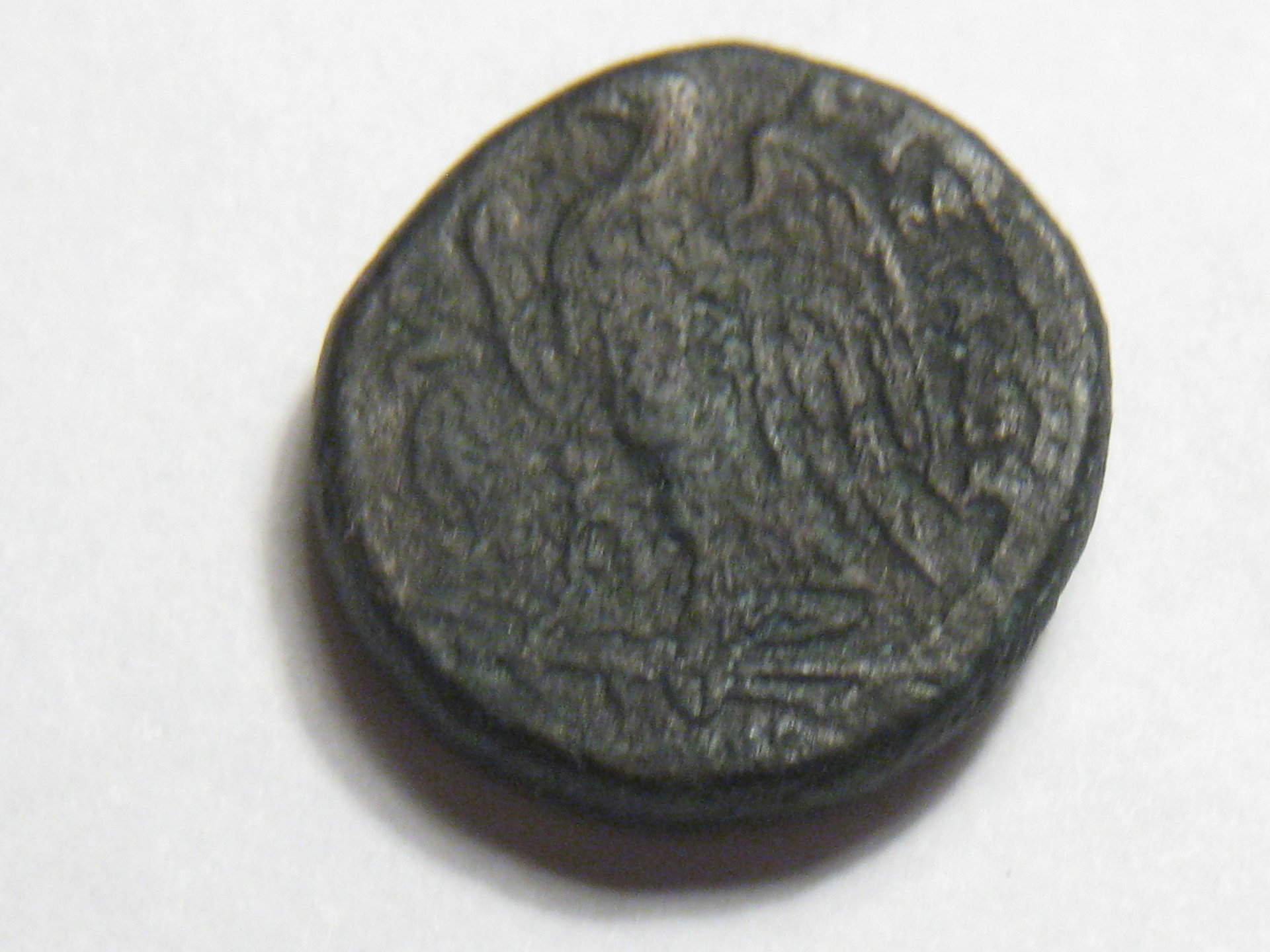greek coins birds ptolemy, peresus 003.JPG