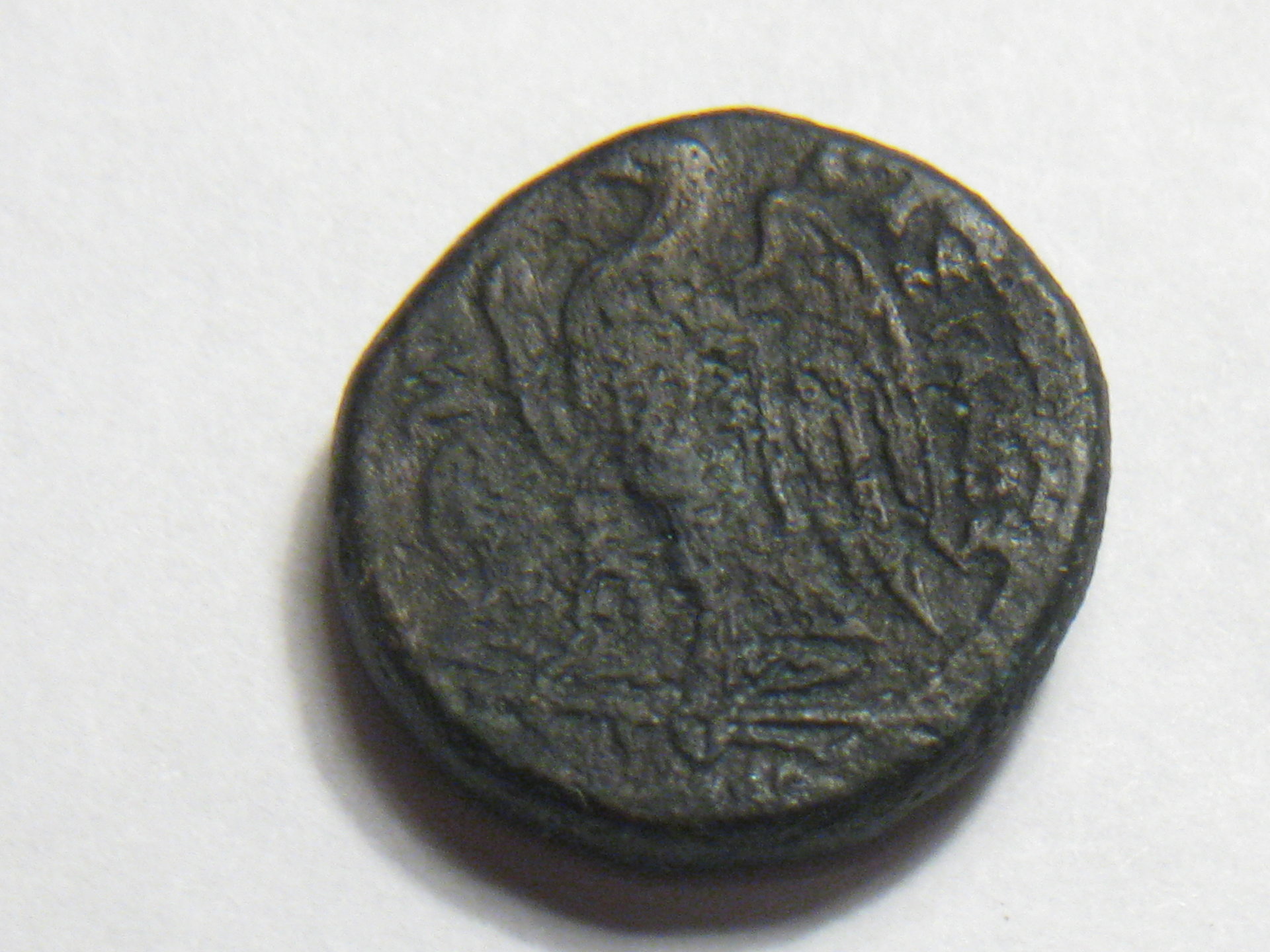 greek coins birds ptolemy, peresus 004.JPG