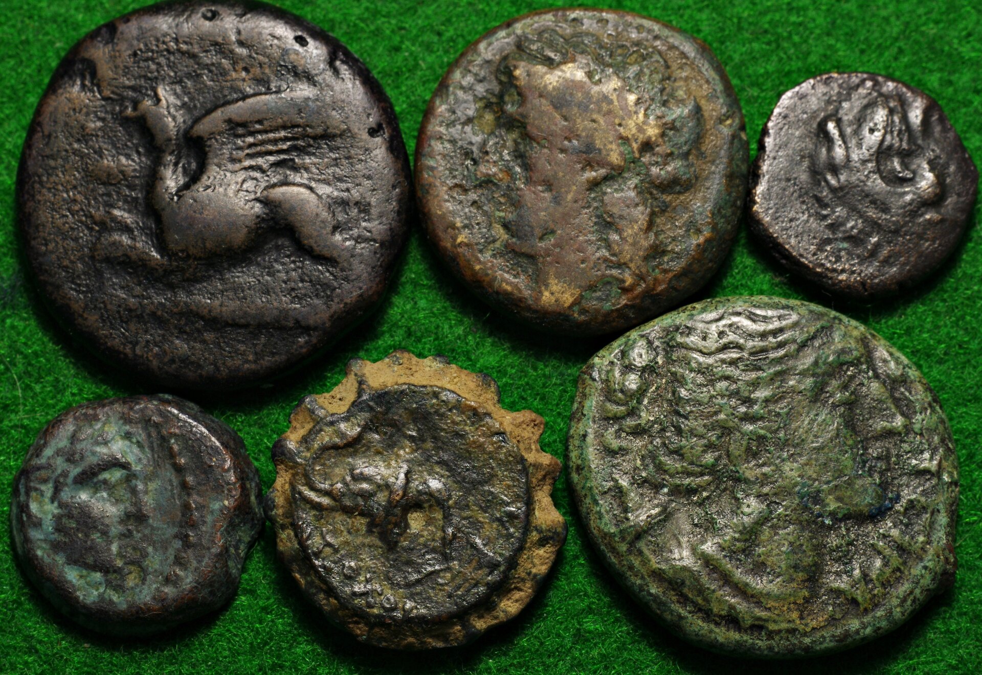 Greek group 1.JPG