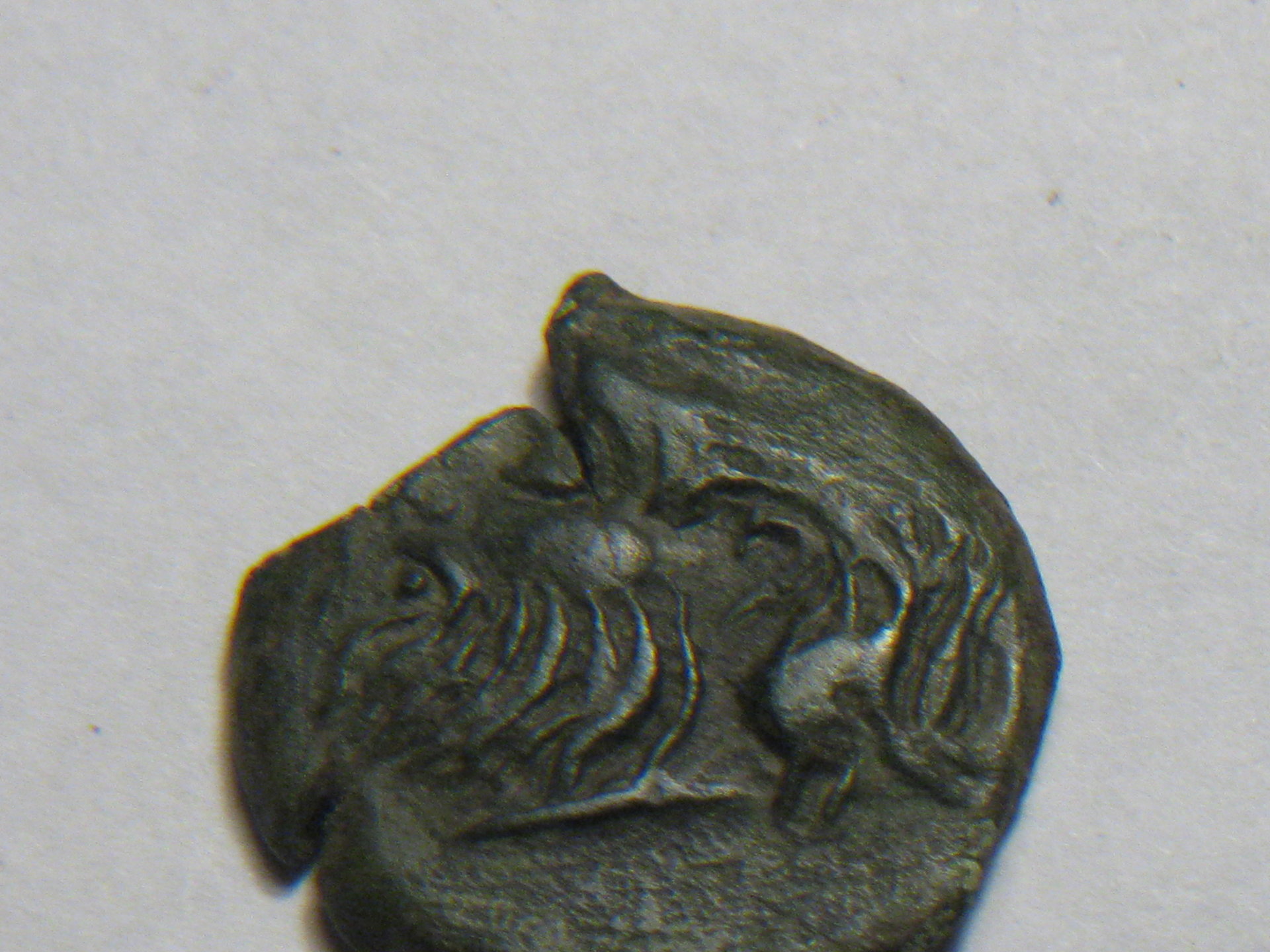 Greek river-god coin olbia samatia 300 bc 001.JPG