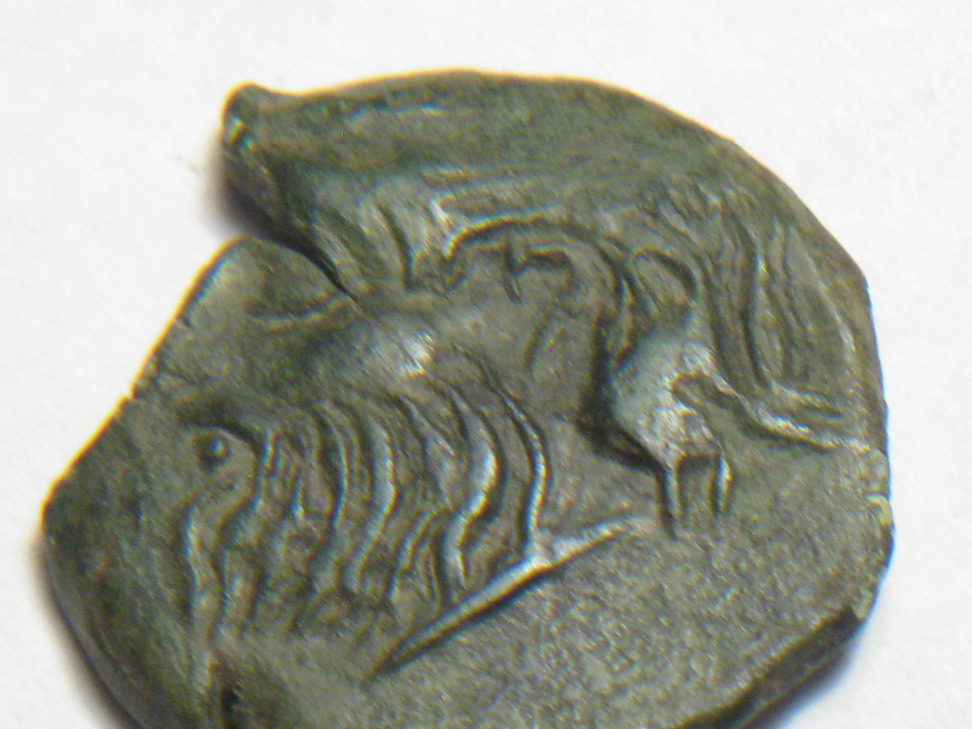 Greek river-god coin olbia samatia 300 bc 003.JPG
