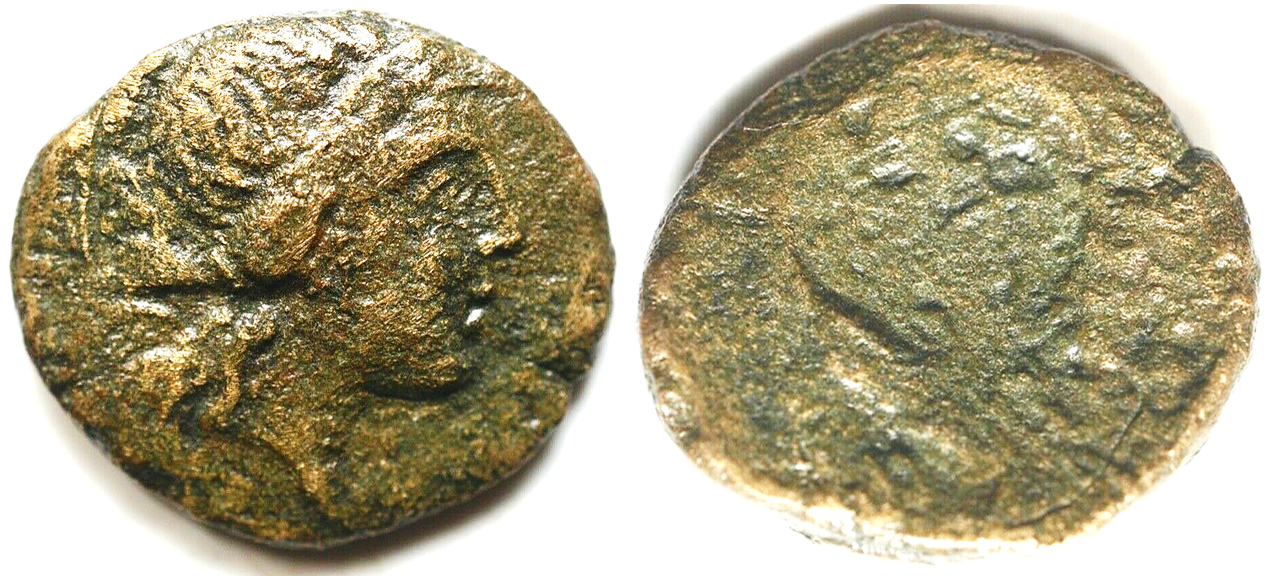 GREEK - Seleukid Kingdom Under Seleukos II Kallinikos AE18. 246-225BC..png