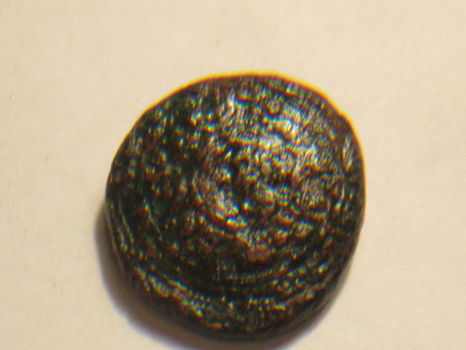 Greek shield coin 003.JPG
