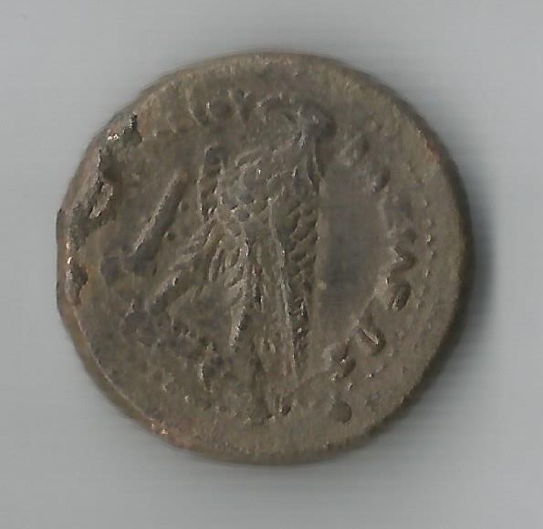 Grever 600.jpg