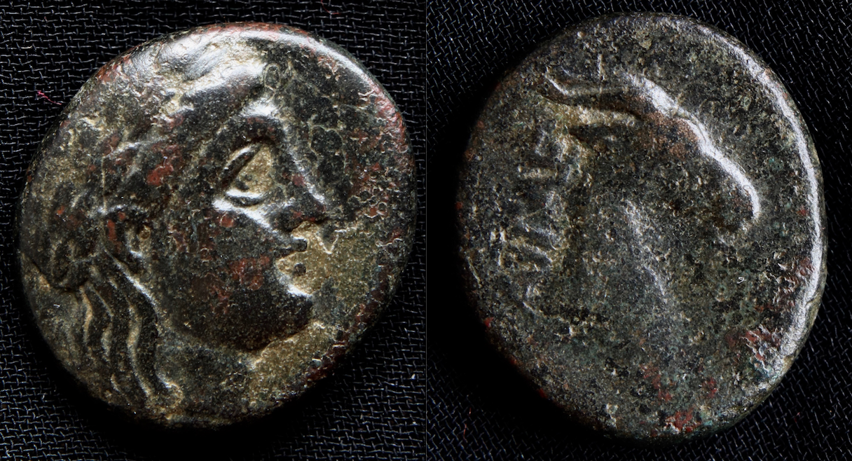 Griechen – Äolien, Aigai, AE 19, Apollo und Ziegenkopf.png