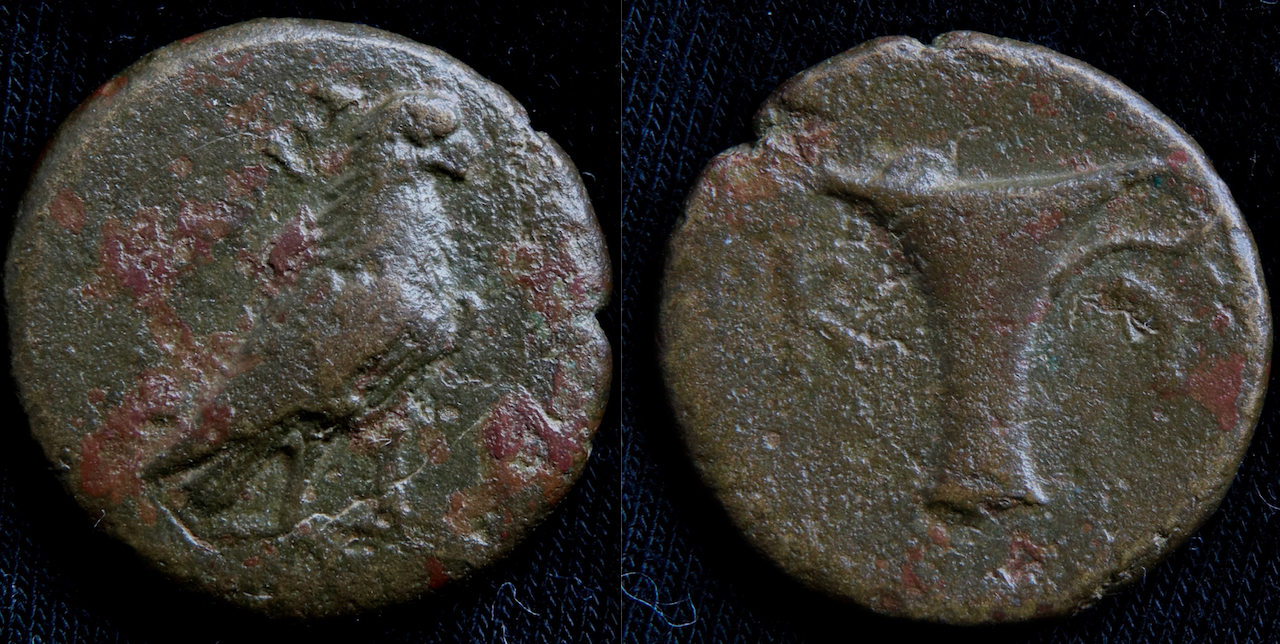 Griechen – Äolien, Kyme, AE, Adler und Vase (neu).png