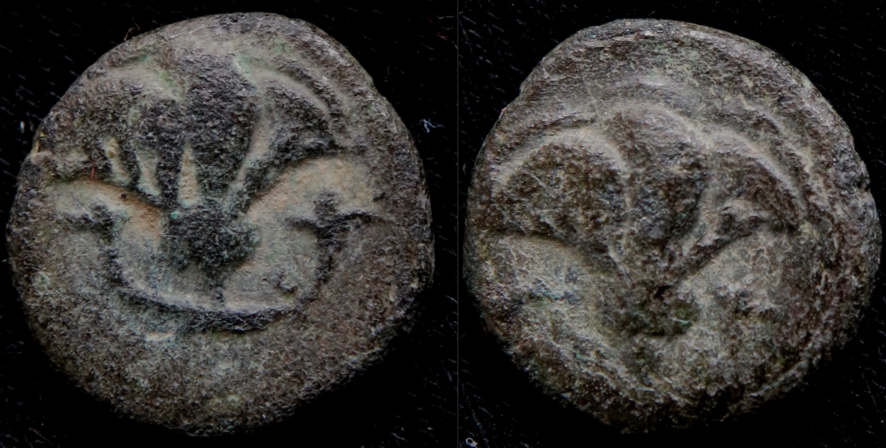 Griechen – Karien, Rhodos, AE10, Rose und Rose.png