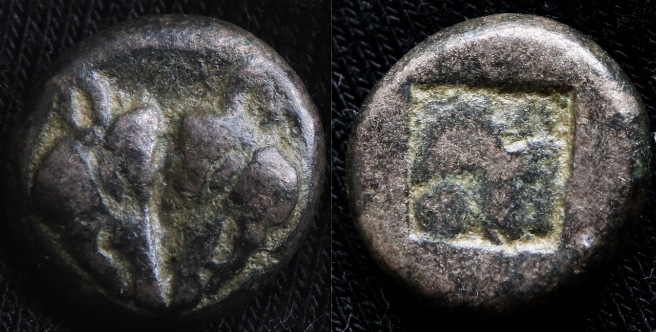 Griechen – Lesbos, unklare Münzstätte, AR Diobol, Wildschweinköpfe und Incusum.png