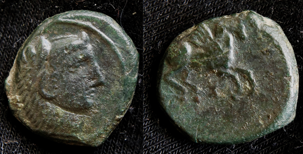 Griechen – Sizilien, Kephalaidion, AE, Herakles und Pferd.png