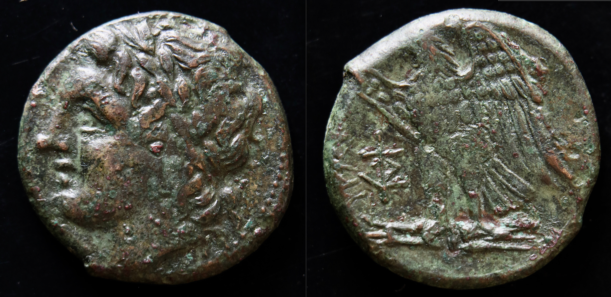 Griechen – Sizilien, Syrakus, Agathokles AE, Apollo und Adler.png