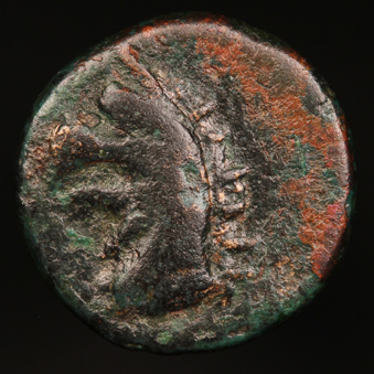 GriffinIonia339O1.jpg