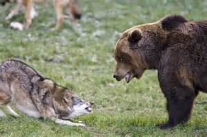 Grissley and wolf.jpg