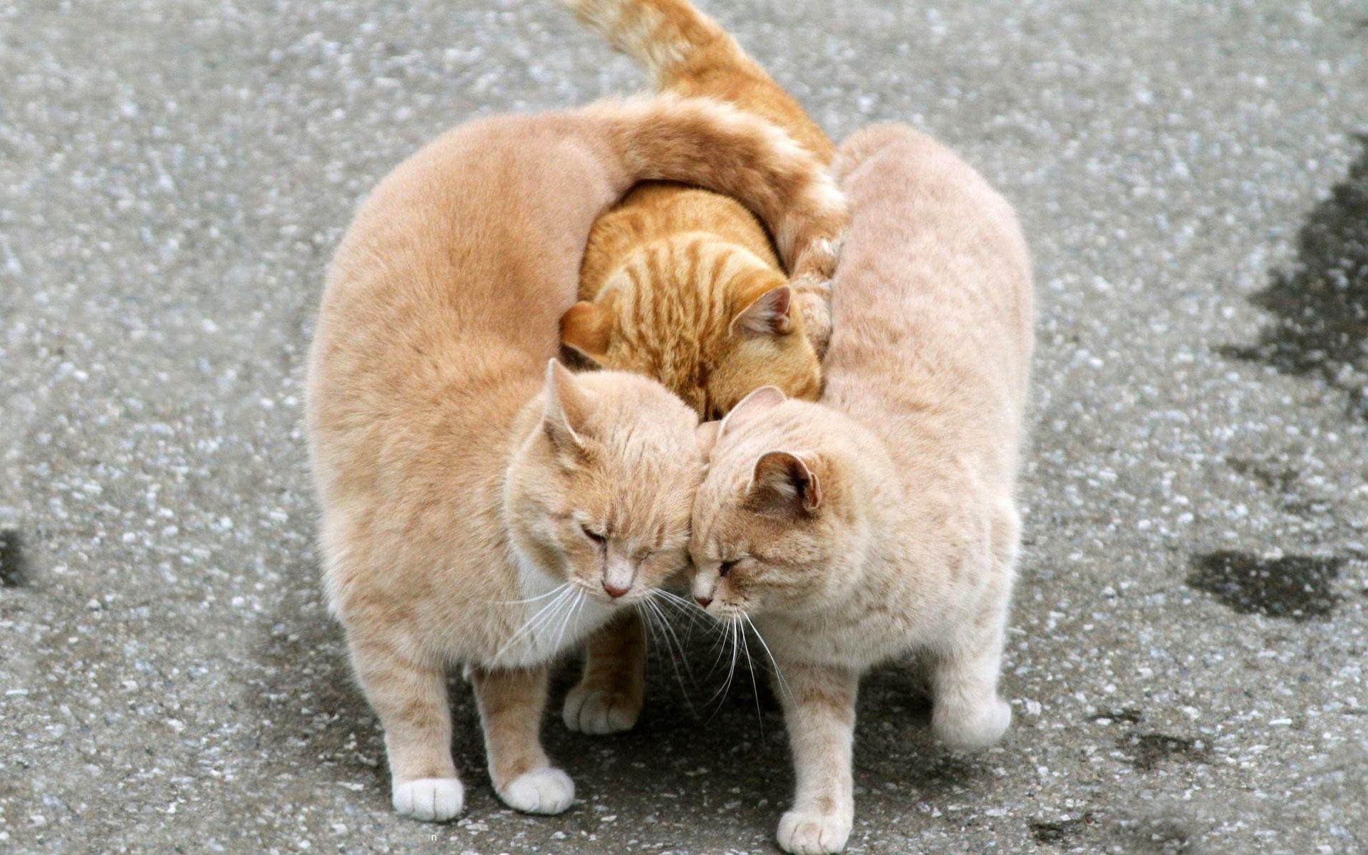 group-hug.jpg