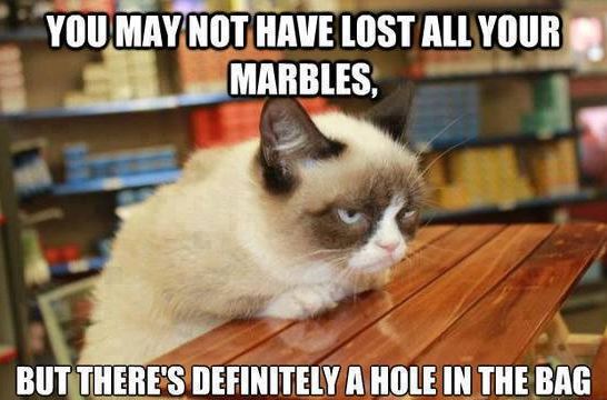 grumpy-cat-lost-your-marbles-hole-in-bag.jpg